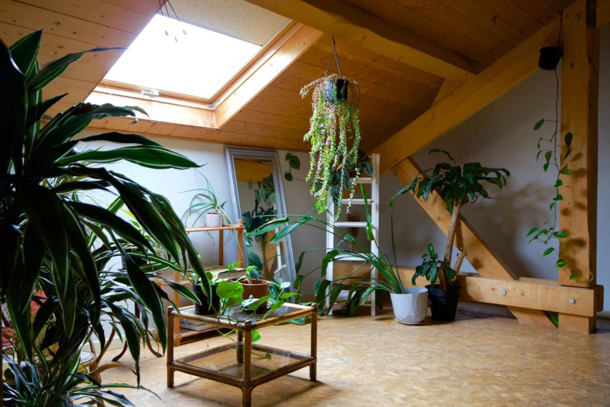 Loft Haut De Gamme Entre Verdure Et Ville Chaudefontaine  Esterno foto